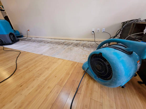 Professional Structural Drying technician working in Gilford, NH